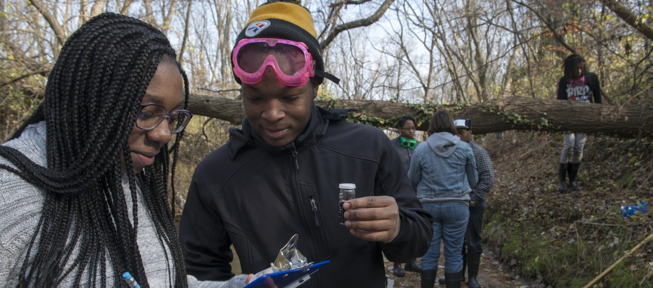 Citizen Scientist Program