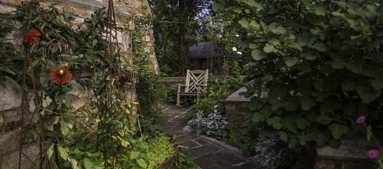 garden with garden chair