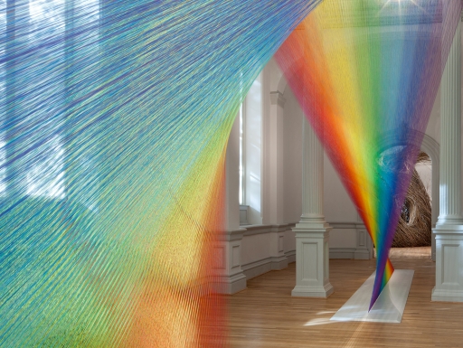 Plexus A1 by Gabriel Dawe, photo Ron Blunt