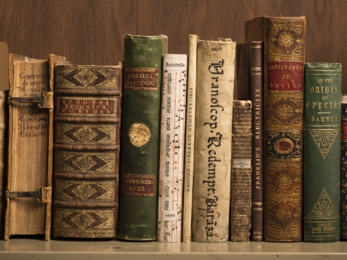 leather bound books on a shelf