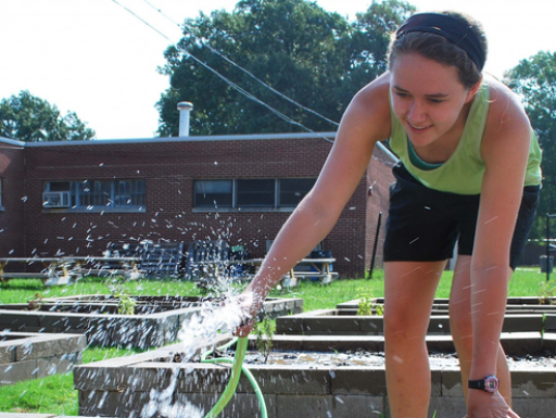 Photograph: A student waters plants in a community garden.