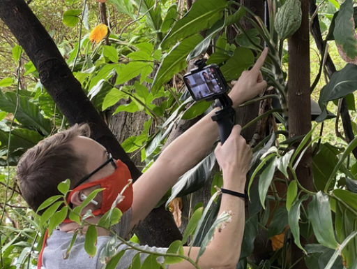 A museum educator gets a closer look at hidden wildlife.