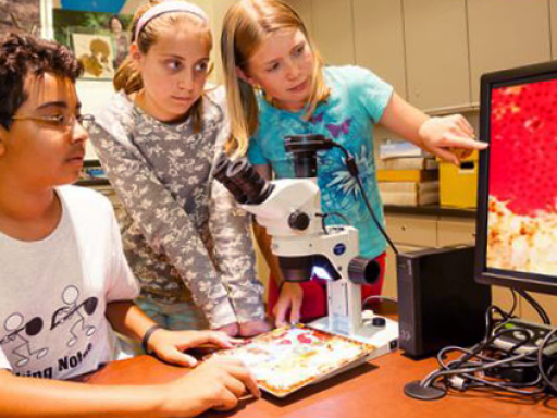 kids look at monitor.